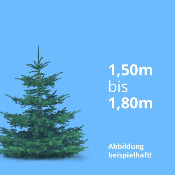 1,50 m bis 1,80 m, Standardqualität, inkl. Zulieferung