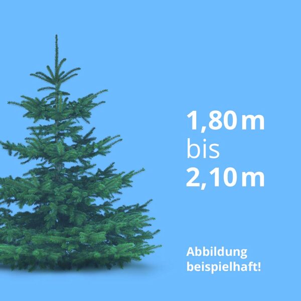 1,80 m bis 2,10 m, Standardqualität, inkl. Zulieferung