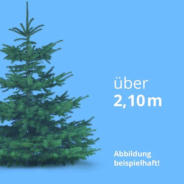 Über 2,10 m, Standardqualität, inkl. Zulieferung