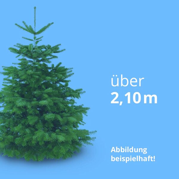 Über 2,10 m, Premiumqualität, inkl. Zulieferung